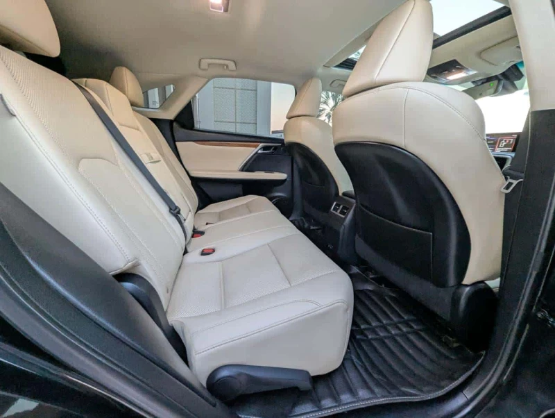 13731/1730727176.webp