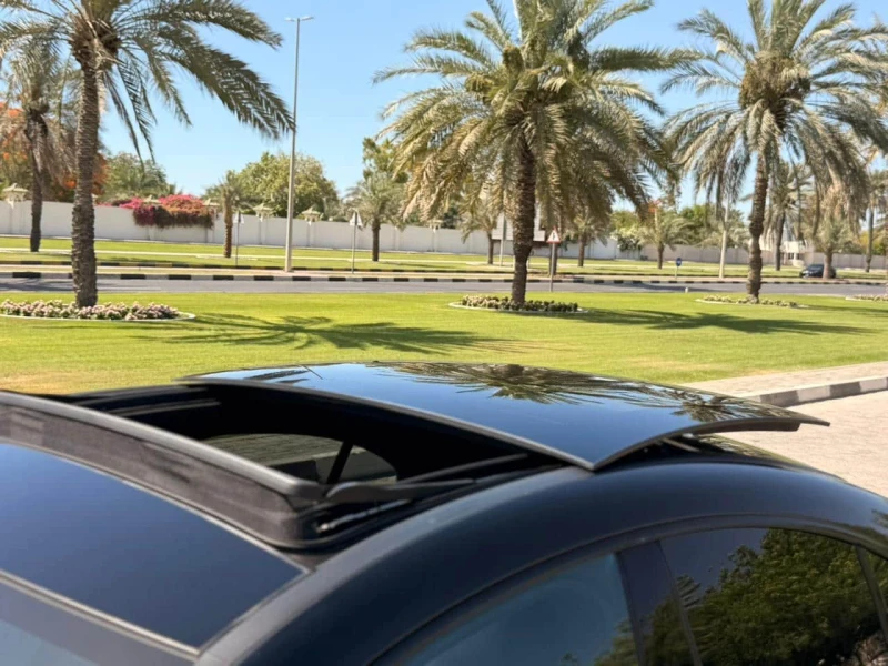 13731/1730727176.webp