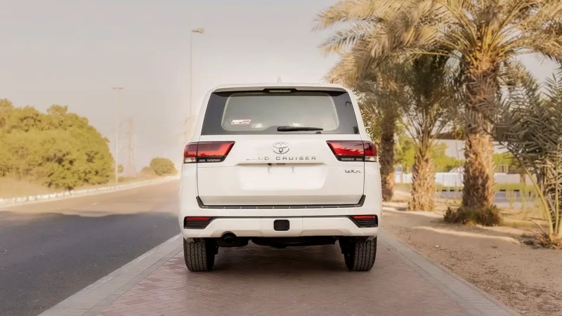 13731/1730727176.webp